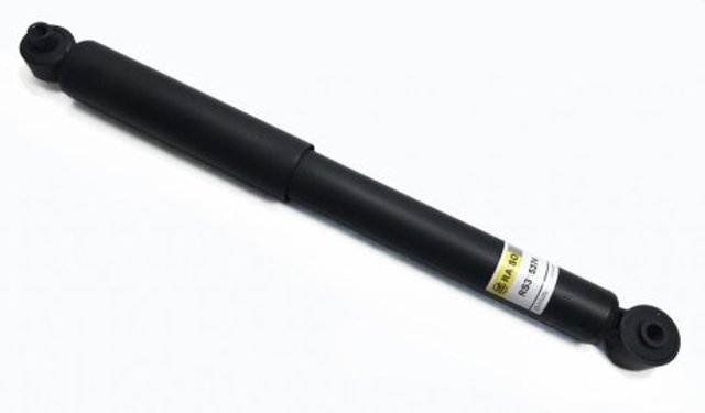 RS315374 Raiso Амортизаторы задние