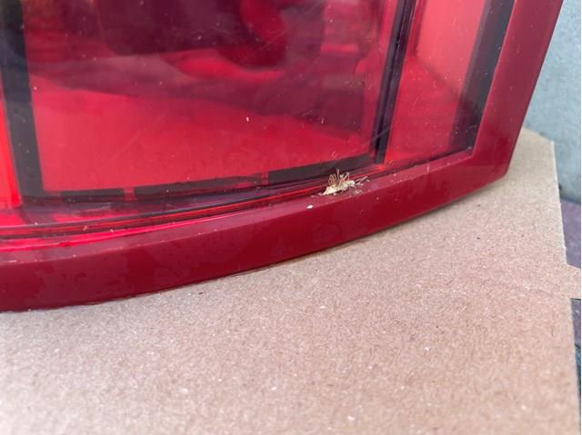 Lanterna traseira direita Peugeot/Citroen 6351AC preço, a partir de 134,64 USD