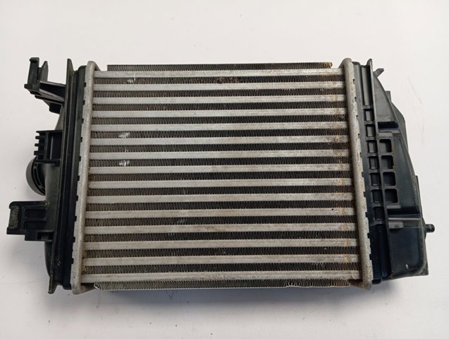 Интеркулер 144961019R Renault (RVI)
