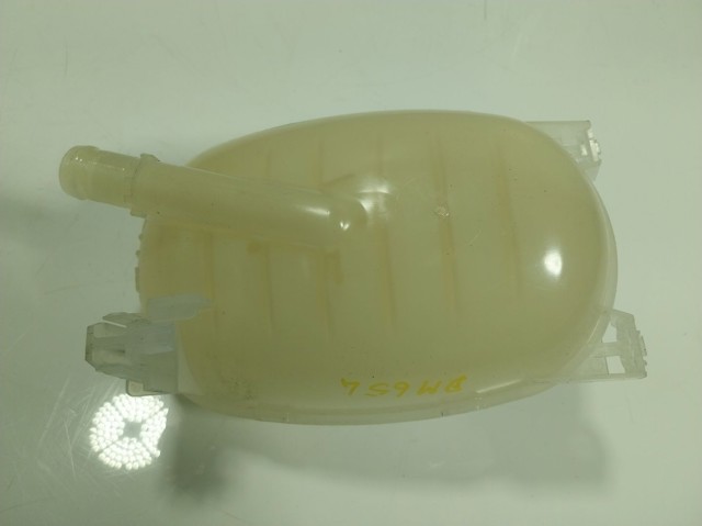 217102572R Renault (RVI) Расширительный бачок охлаждения