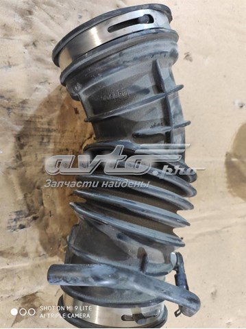 Купить GV619R504CB Ford 