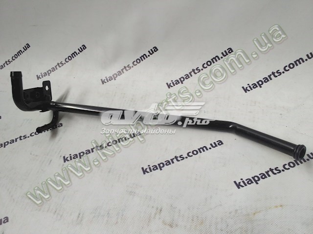 2543142611 Hyundai/Kia 