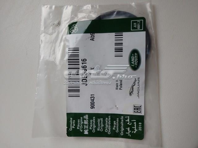 JDE39616 Jaguar 