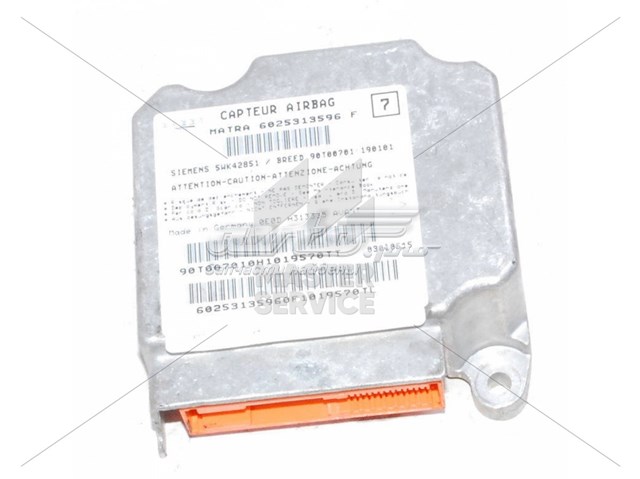  6025313596 Renault (RVI)