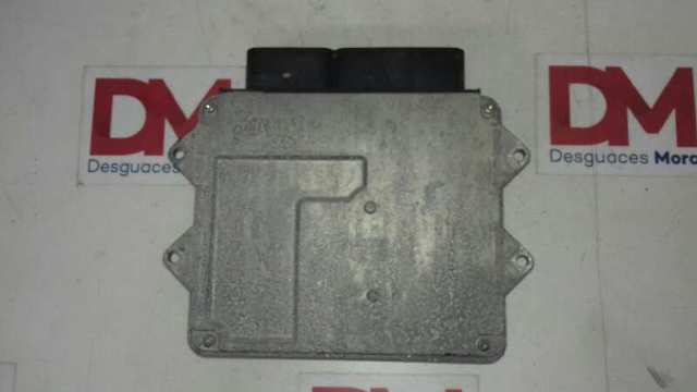 Купить 55194017 Fiat/Alfa/Lancia 