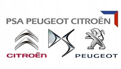  9808360880 Peugeot/Citroen