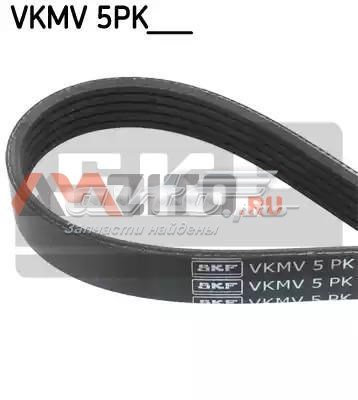 VKMV 5PK1546 SKF correia dos conjuntos de transmissão