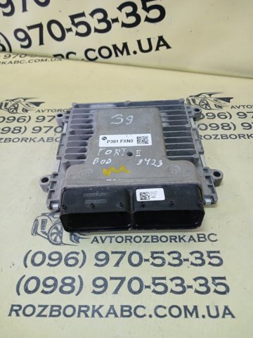 391722EXN0 Hyundai/Kia 
