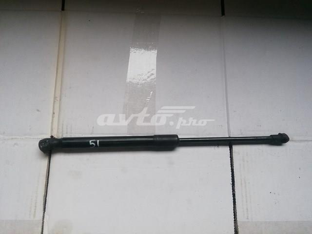 Amortecedor da capota VAG 1T0823359D preço, a partir de 14,17 USD