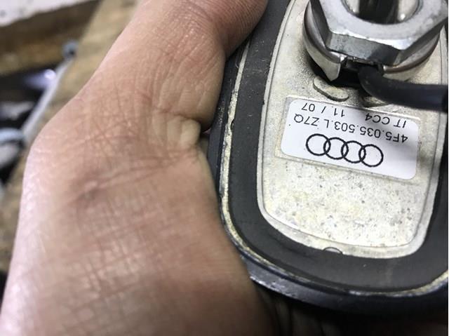  4F5035503L VAG