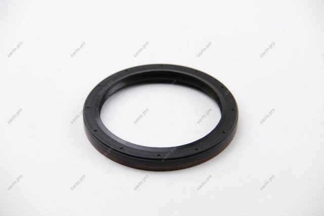 430855811R RENAULT Sello De Aceite Cubo Trasero original y equivalente