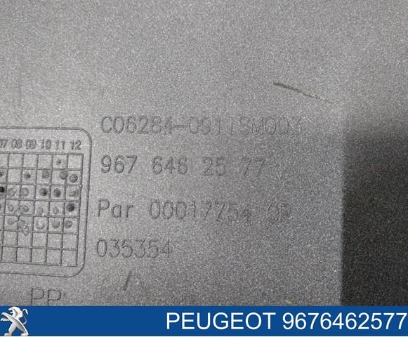 9676462577 Peugeot/Citroen 