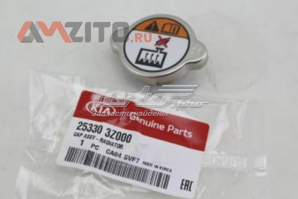 253303Z000 HYUNDAI Tapa radiador original y equivalente