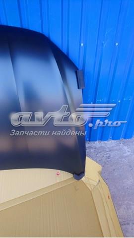 Купить GD99F73 Gordon Капот