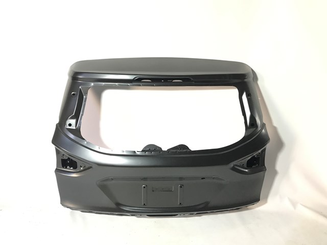 Задняя дверь на Ford Escape II DM2
