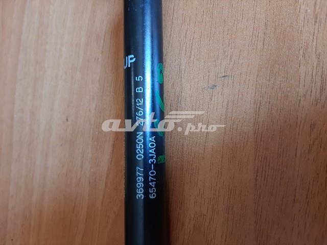 Амортизатор капота правый TAN7095R Topsauto