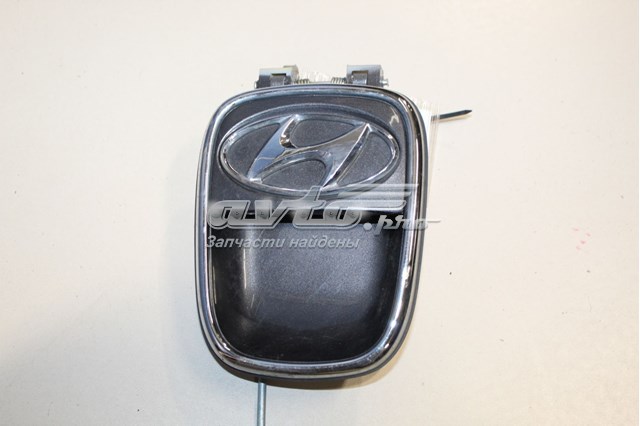 Ручка крышки багажника (двери 3/5-й задней) наружная на Hyundai I10 PA