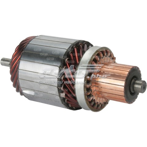 30957N WAI induzido (rotor do motor de arranco)