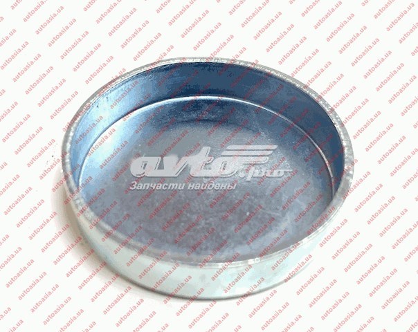 4801002017 China заглушка гбц/блока цилиндров