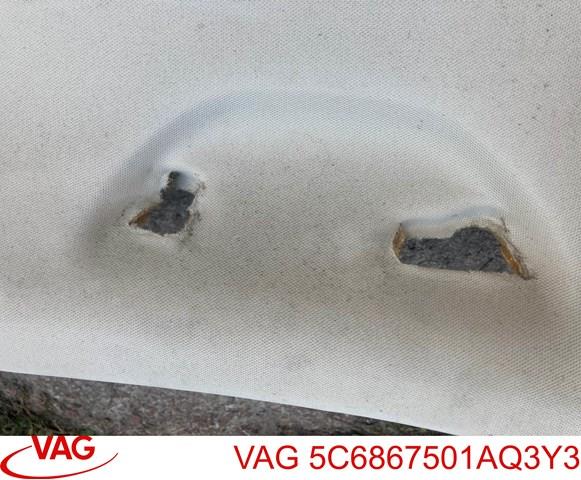 5C6867501AQ3Y3 VAG Обивка крыши (потолок)