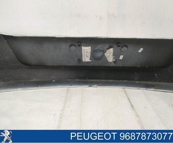 9687873077 Peugeot/Citroen 