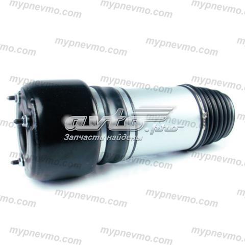 A2113203138 Mercedes