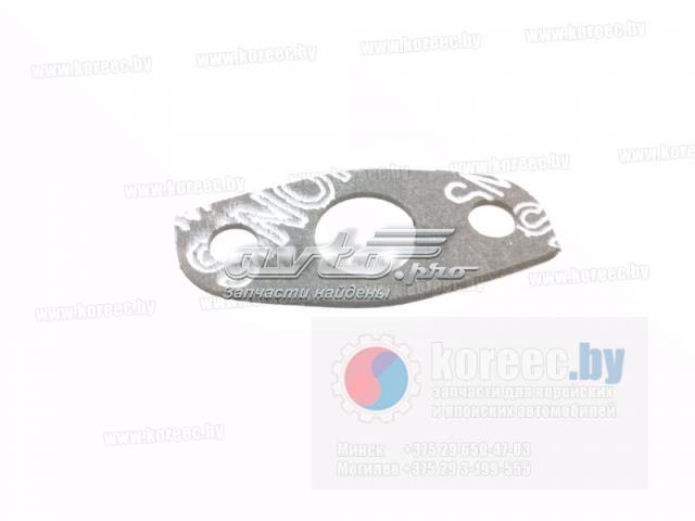 Прокладка шланга отвода масла от турбины Parts-Mall P1QA005