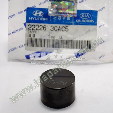 222263CAC5 Hyundai/Kia 