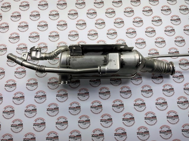  LR125538 Land Rover