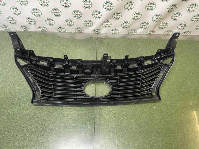 Облицовка радиатора TYG TY07525GA цена, от 101.35 USD