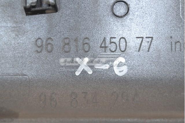 9681645077 Peugeot/Citroen 