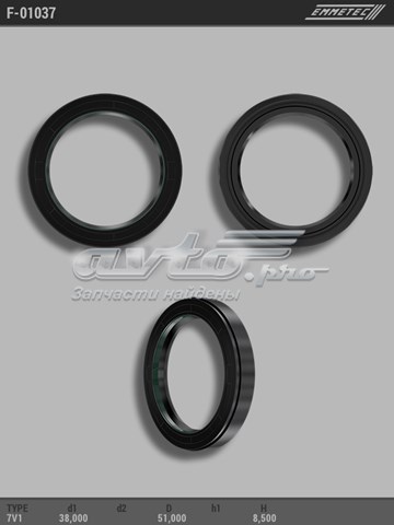  F01037 Emmetec