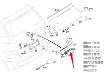 Lanterna da luz de fundo de matrícula traseira para Mercedes B (W245)