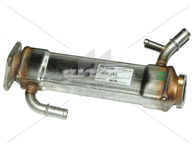 504158592 Iveco 