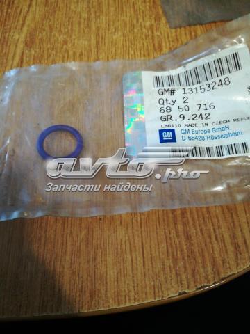  General Motors 13153248