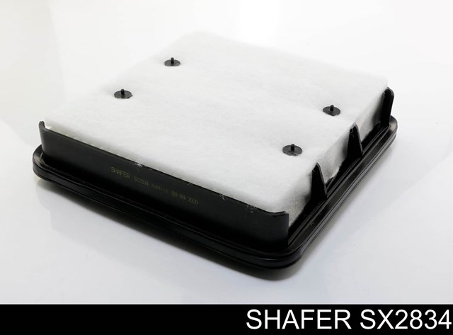 SX2834 Shafer Воздушный фильтр двигателя