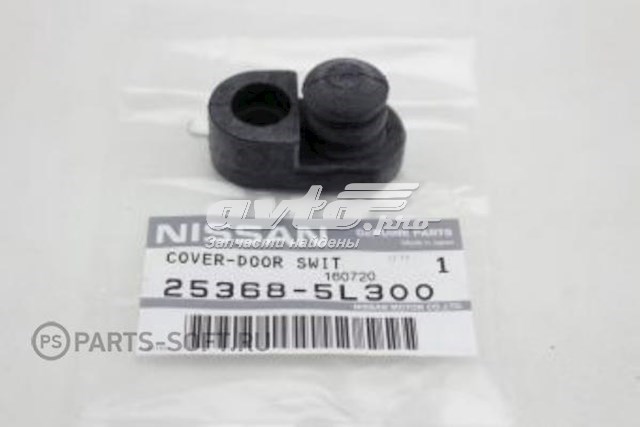253685L300 Nissan/Infiniti 