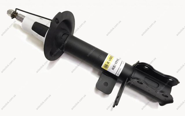 Купить RS317140 Raiso Амортизатор задний правый