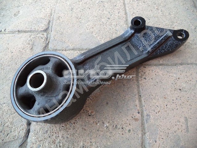  AP011838 PolyAuto
