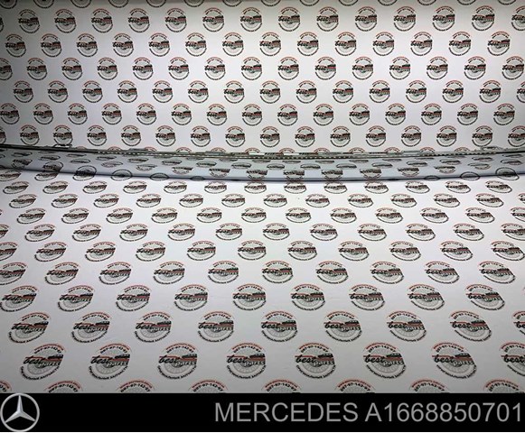  A1668850701 Mercedes