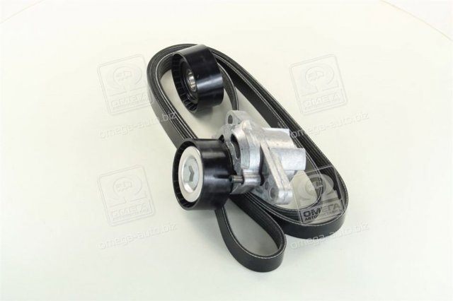 Correa de transmisión, completo 5PK1750K1 CONTINENTAL