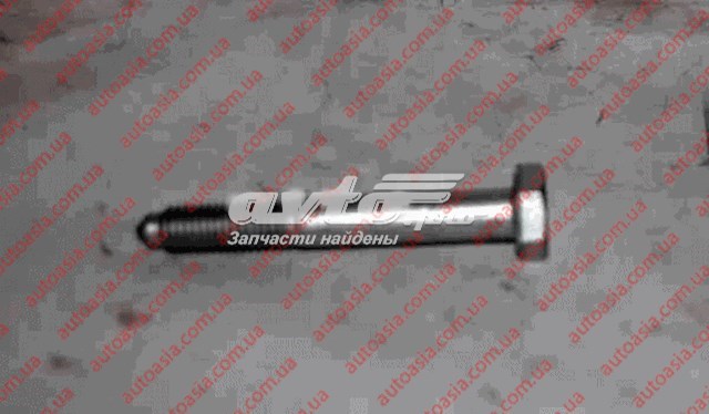 Болт крепления заднего нижнего рычага Chery N10023602 цена, от 2.82 USD