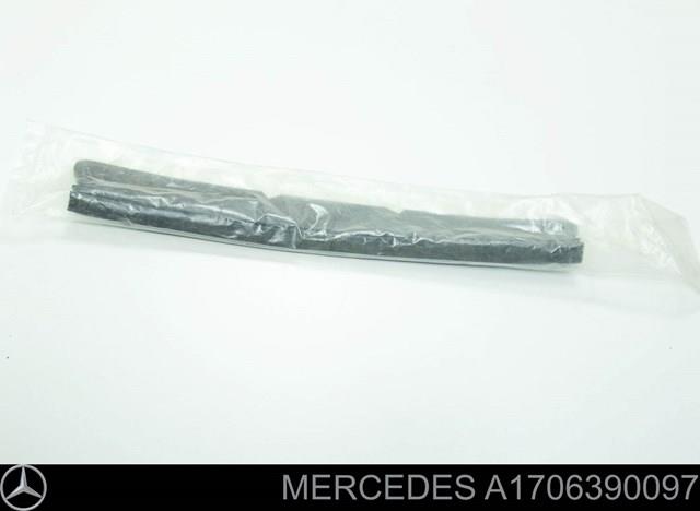  A1706390097 Mercedes