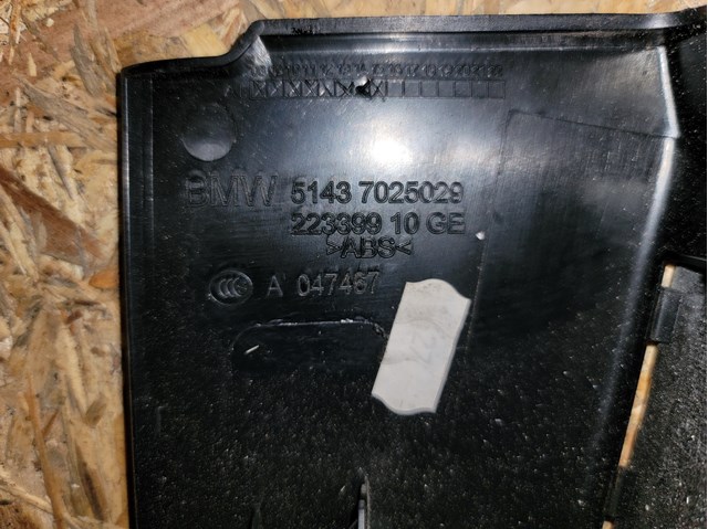  7025029 BMW