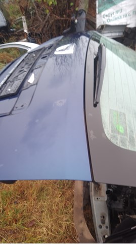 Задняя ляда Renault (RVI) 901003901R