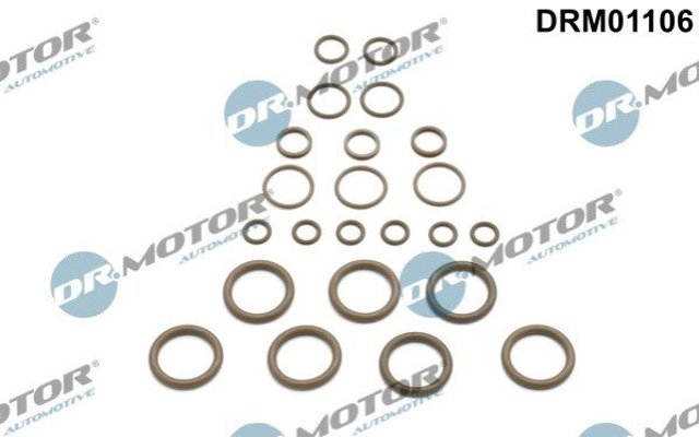 Ремкомплект компресора кондиціонера DRM01106 DR.MOTOR