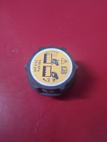 302320494 Ford 