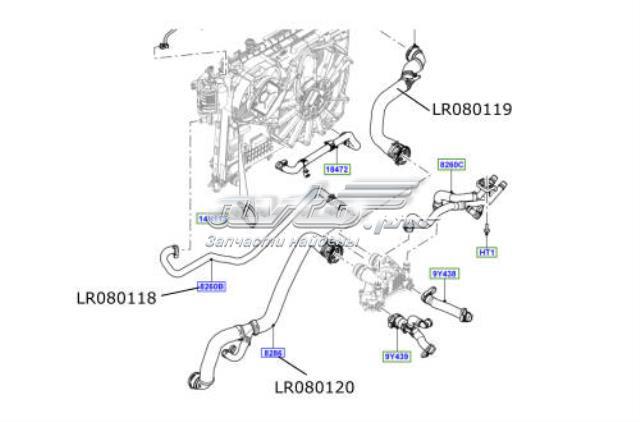 Нижний шлаг радиатора охлаждения LR080120 Land Rover