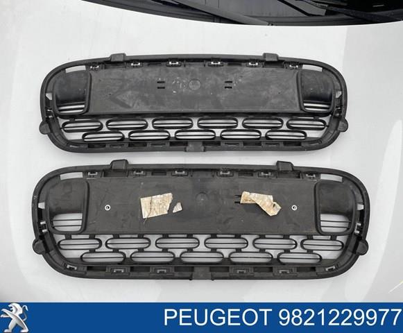  9821229977 Peugeot/Citroen