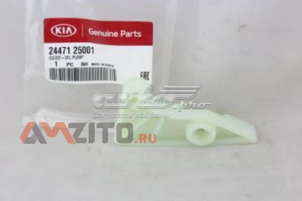 2447125001 Hyundai/Kia amortecedor de cadeia de bomba de óleo